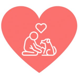 Pet Laser Therapy